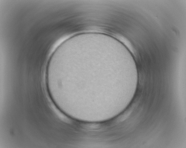 X0000115041387200911231124