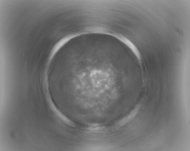 X0000115041389200911231124