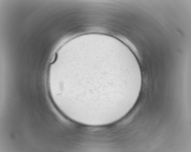 X0000115041391200911231124