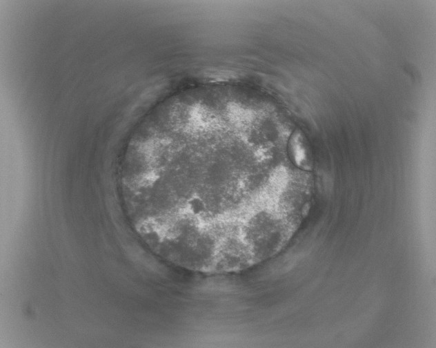 X0000115041393200911231123