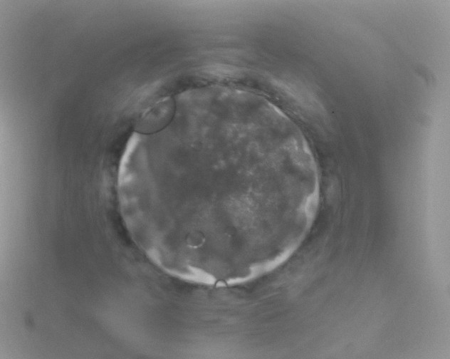 X0000115041397200911231123