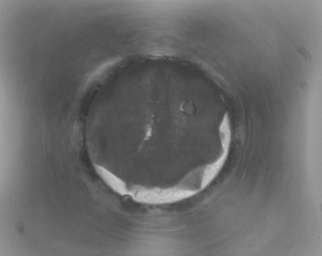 X0000115041398200911231123