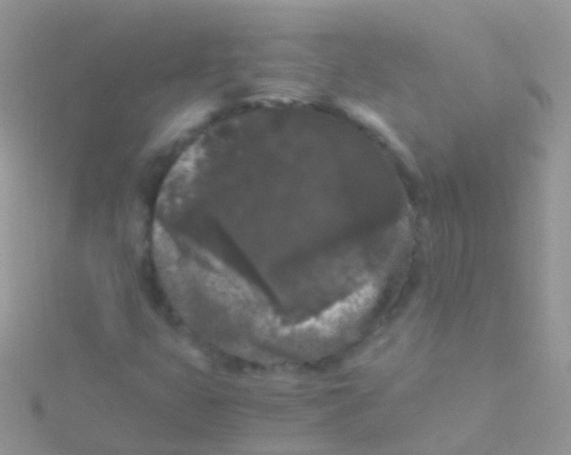 X0000115041399200911231123