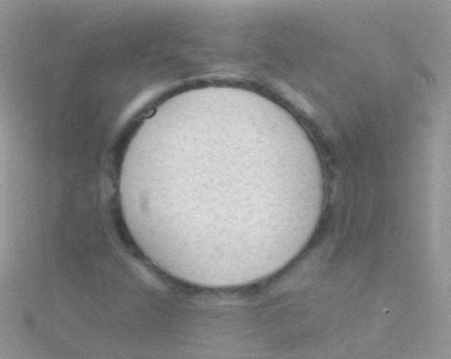 X0000115041400200911231123