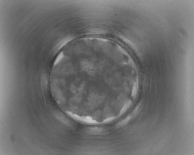 X0000115041401200911231123