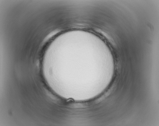 X0000115041402200911231123