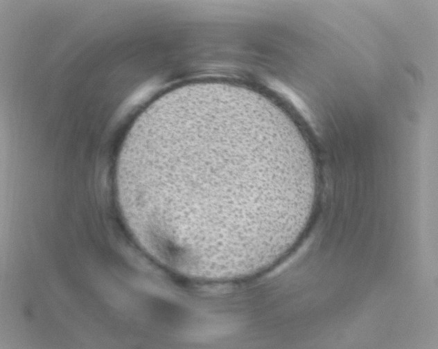 X0000115041403200911231123