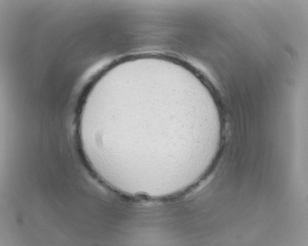 X0000115041406200911231123