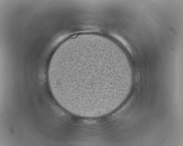 X0000115041407200911231123