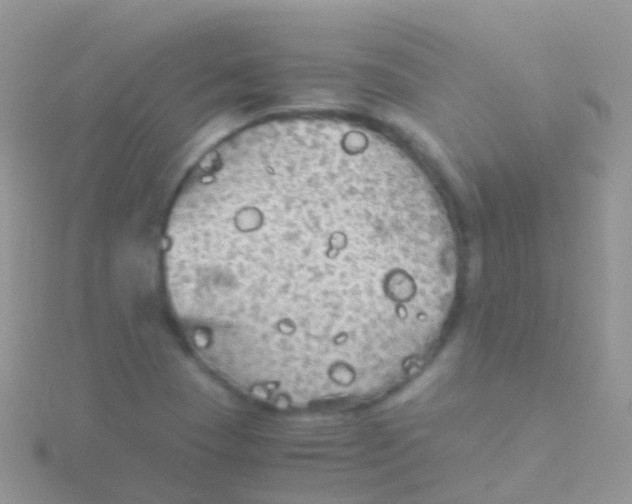 X0000115041409200911231123