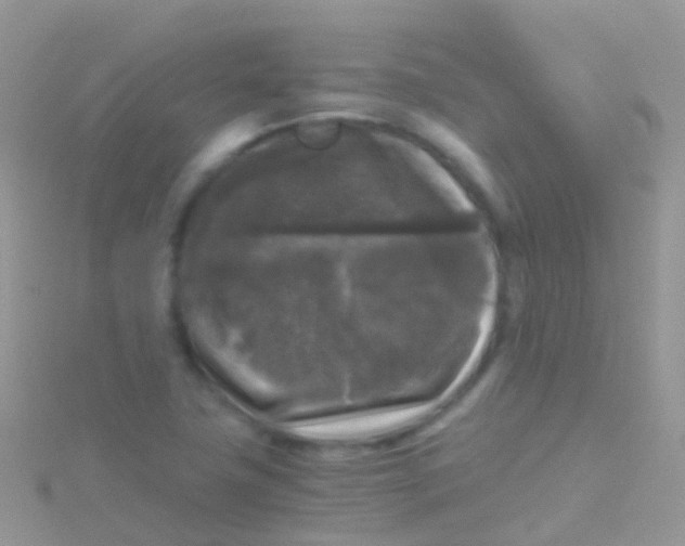 X0000115041411200911231123