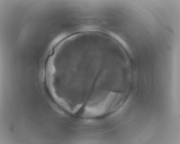 X0000115041413200911231123