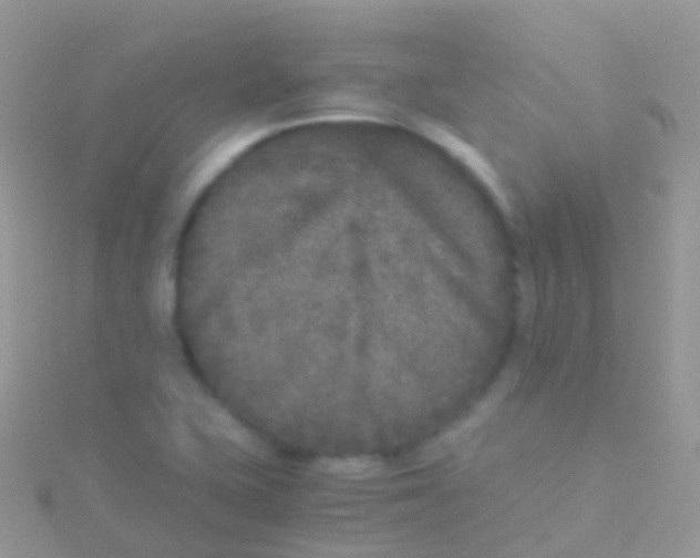 X0000115041415200911231123