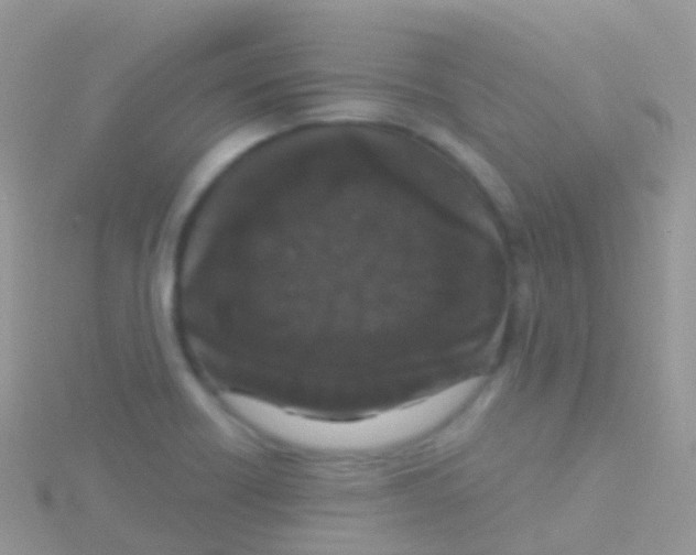 X0000115041418200911231123