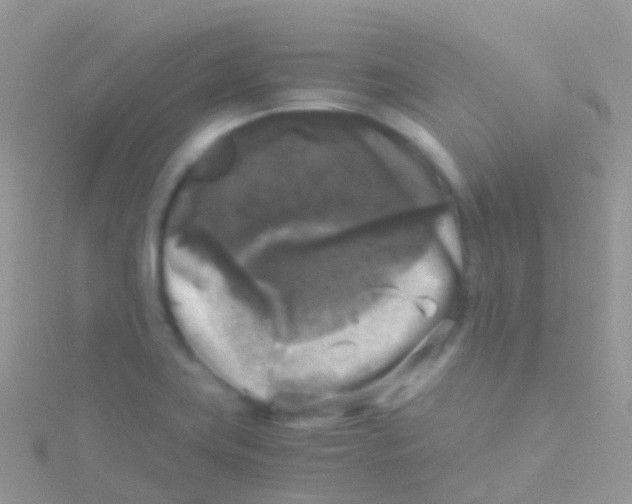 X0000115041419200911231123