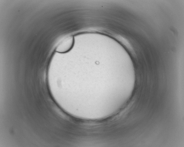 X0000115041420200911231123