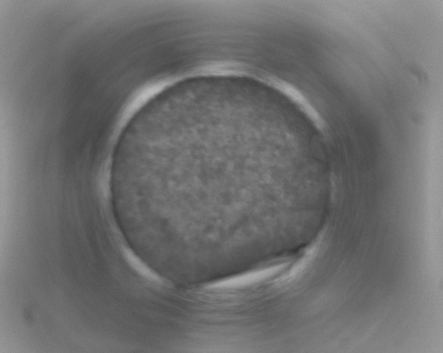 X0000115041421200911231123