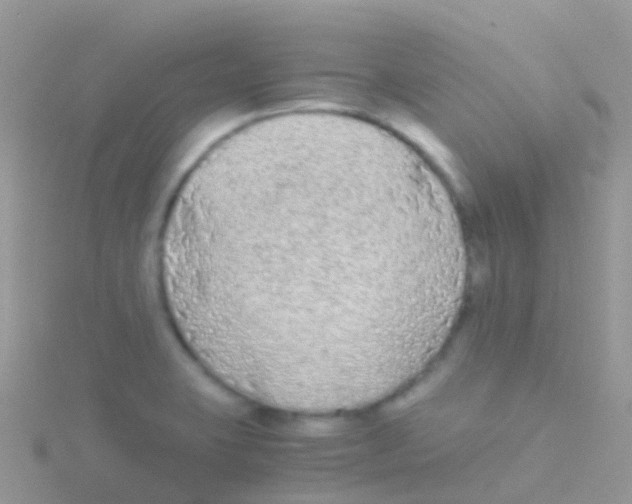 X0000115041423200911231123