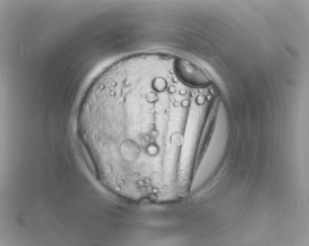 X0000115041424200911231123