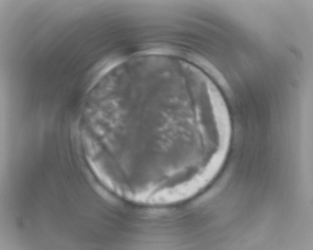 X0000115041425200911231123