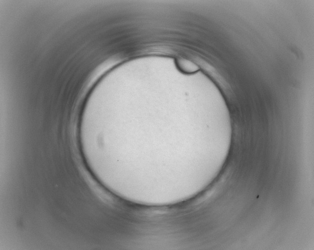 X0000115041426200911231123