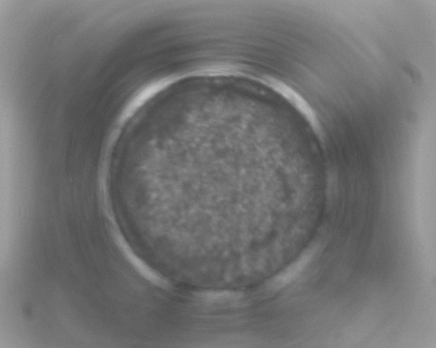 X0000115041429200911231123