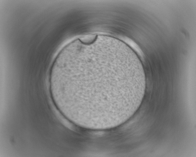 X0000115041431200911231123