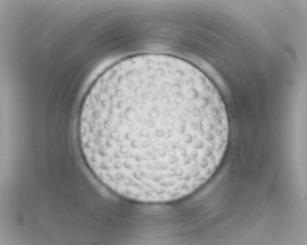 X0000115041432200911231123