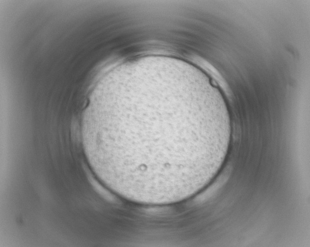 X0000115041433200911231123