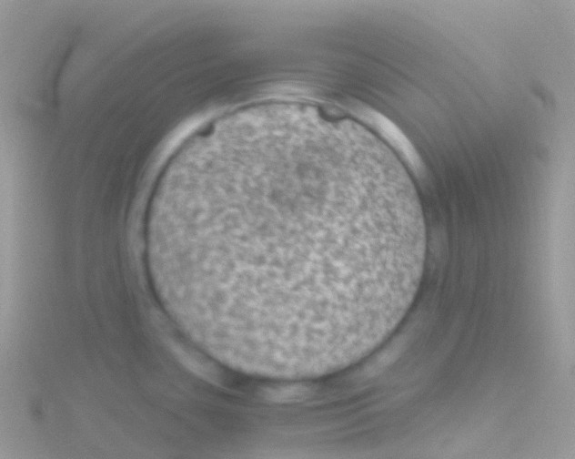 X0000115041435200911231123