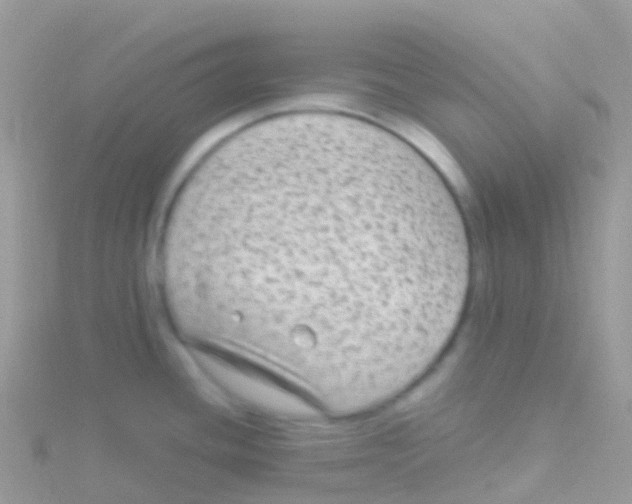 X0000115041436200911231123