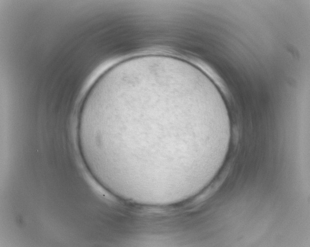 X0000115041438200911231123