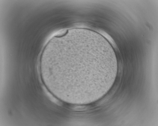 X0000115041439200911231124