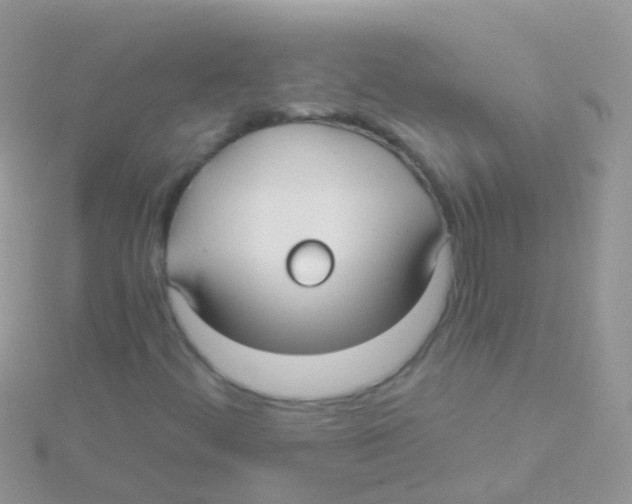 X0000115041444200911231123