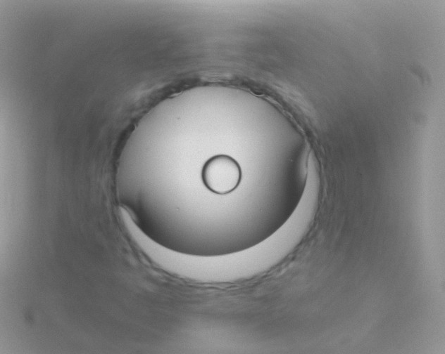 X0000115041445200911231123