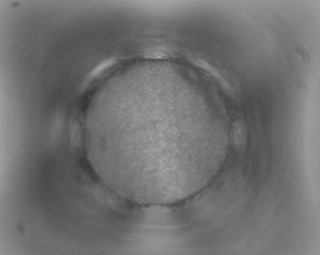 X0000115041446200911231123