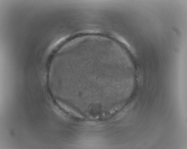 X0000115041448200911231123