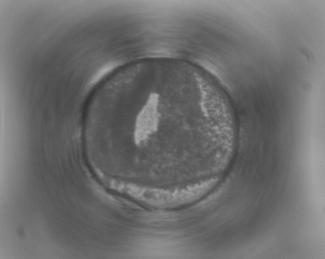 X0000115041450200911231123