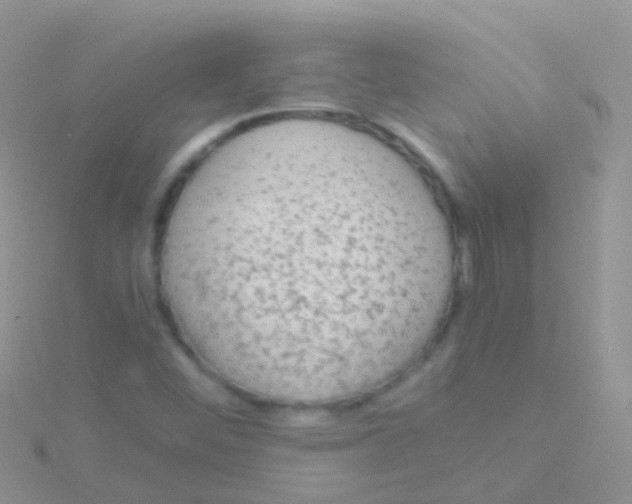 X0000115041452200911231123