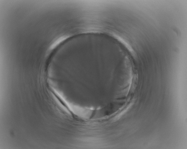 X0000115041453200911231123