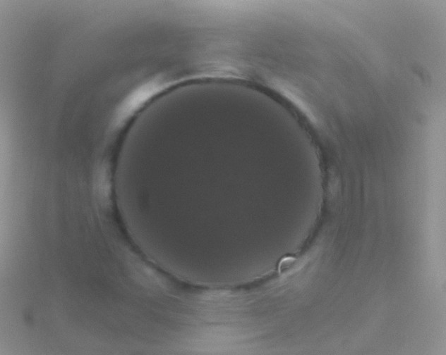 X0000115041455200911231123