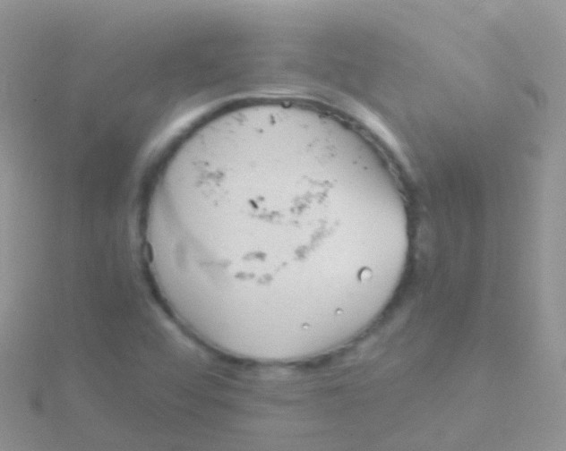 X0000115041456200911231123