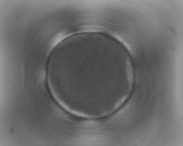 X0000115041459200911231123