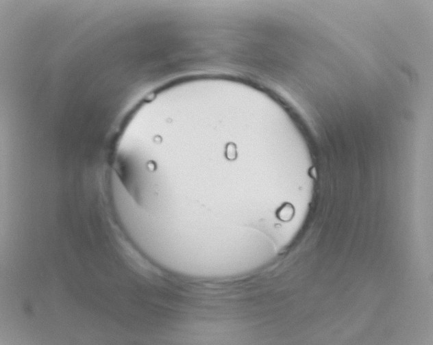 X0000115041460200911231123