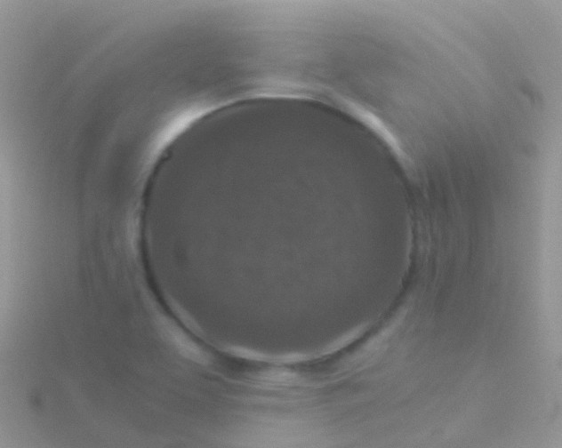 X0000115041463200911231123