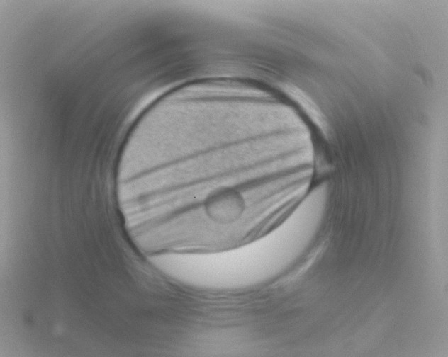 X0000115041465200911231123