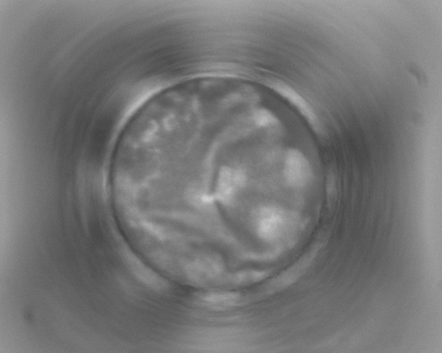 X0000115041466200911231123