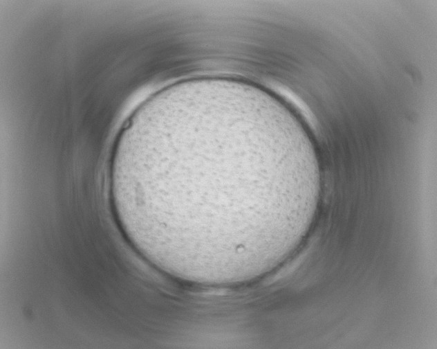 X0000115041467200911231123