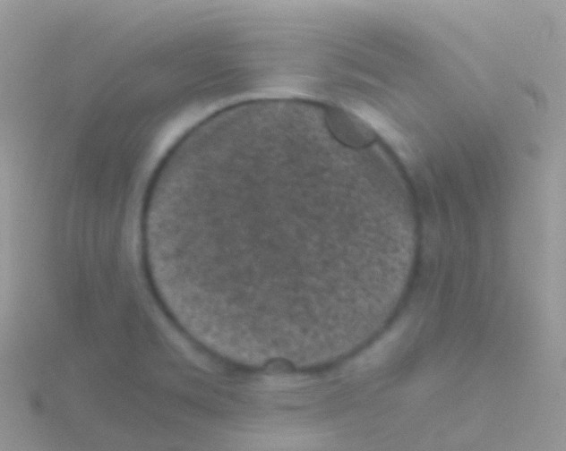 X0000115041469200911231123