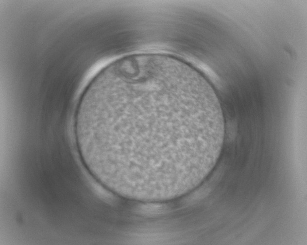 X0000115041470200911231123